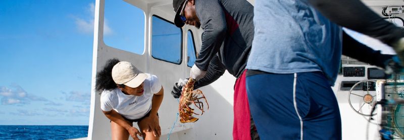 ocan caribisch natuur in de cariben kijktip aruba bonaire boneiru curacao korsou saba sintmaarten sinteustatius statia