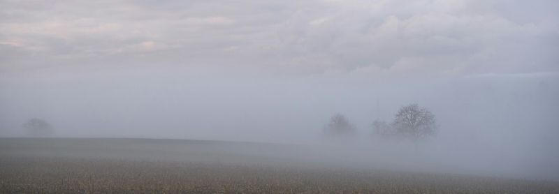 Inge den heijer Bodeutsch foto